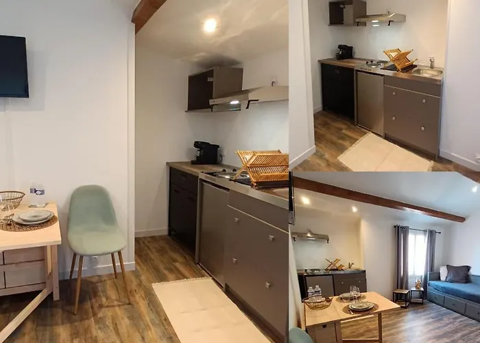 Studio La Moutonne Tt Equipe 20 M2 10Mn Plages- Hyeres - Tres Calme-