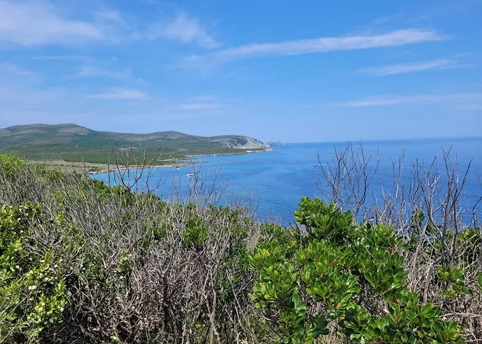 Studio La Moutonne Tt Equipe 20 M2 10Mn Plages- Hyeres - Tres Calme-