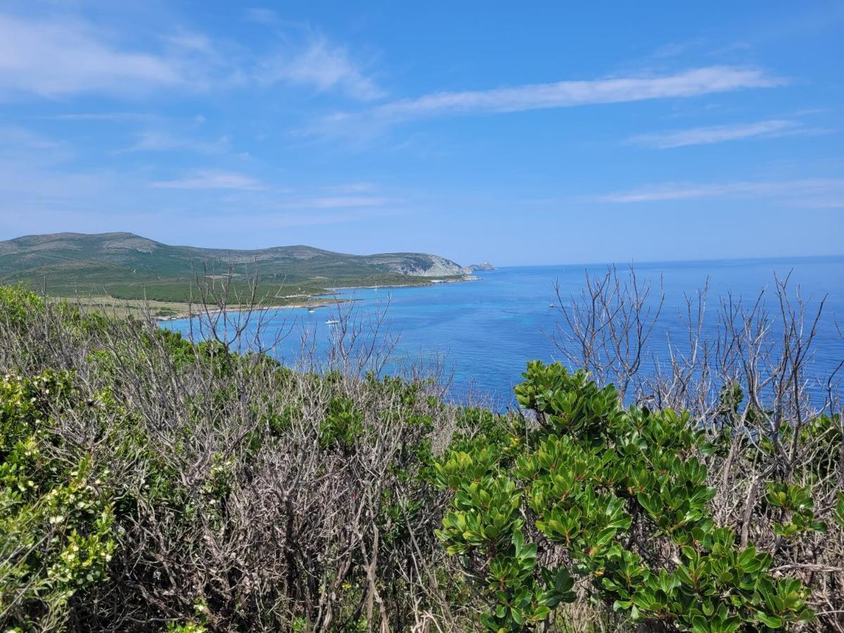 La Moutonne Tt Equipe 20 M2 10mn Plages- Hyeres - Tres Calme- *